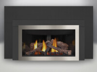 Inspiration ZC-GDIZC Napoleon gas fireplace insert