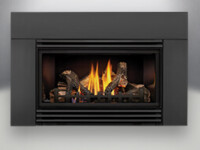 Roxbury 30 GDI30 Napoleon gas fireplace insert