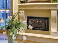 Alpha Alpha IHP Gas Fireplace