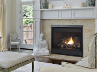 Altair Altair IHP Gas Fireplace