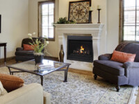 Aries Aries IHP Gas Fireplace