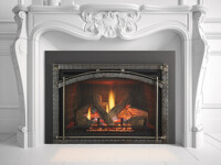 Escape Escape Heat & Glo Gas Insert Fireplace