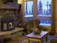 Montlake 300 Montlake 300 IHP Wood Insert Fireplace