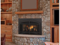 QFI30 QFI30 Quadra Fire Gas Insert Fireplace