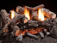 Cozy Fire Cozy Fire Hargrove Gas Logs