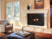 D Series D Series Mendota Gas Insert Fireplace